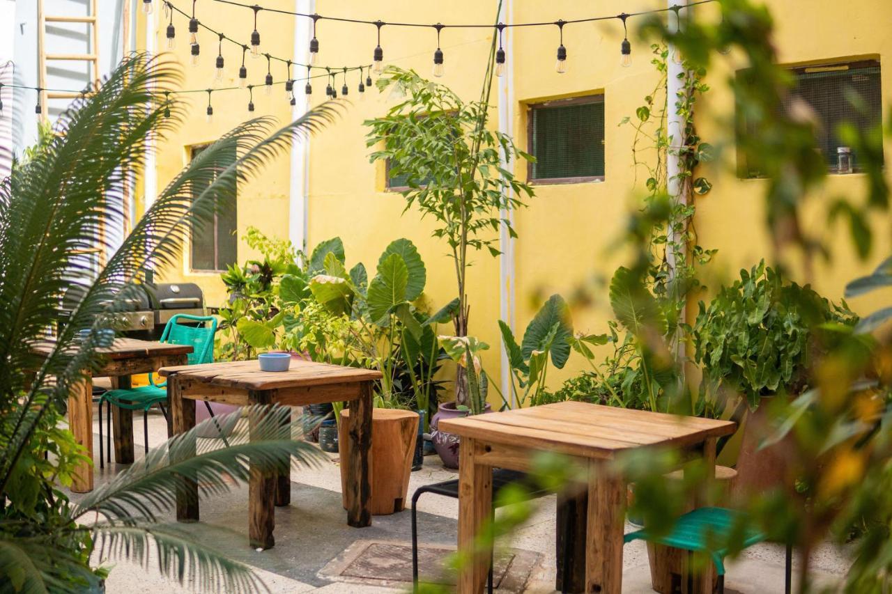 Bed and Breakfast Tarawanda House -Thrivestawi Zanzibar Exteriér fotografie